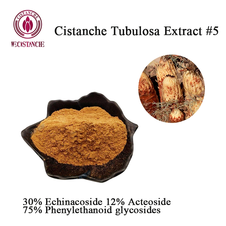 100g/Bag Enhance Kidney Supplements 30% Echinacoside Cistanche Tubulosa Powder for Stamina Motivation