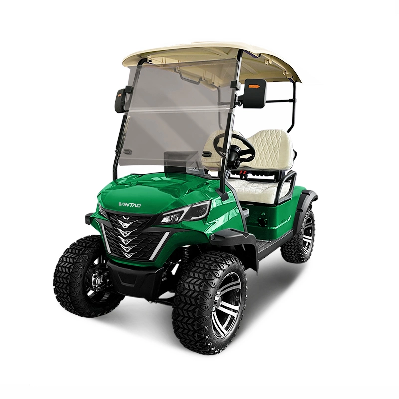 Wintao Customized Electric Golf Car for 2 Passenger Transport