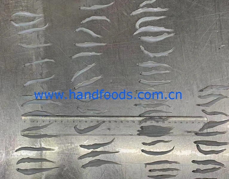 Hot Sale Healthy Seafood of Clear Water Noodle Fish