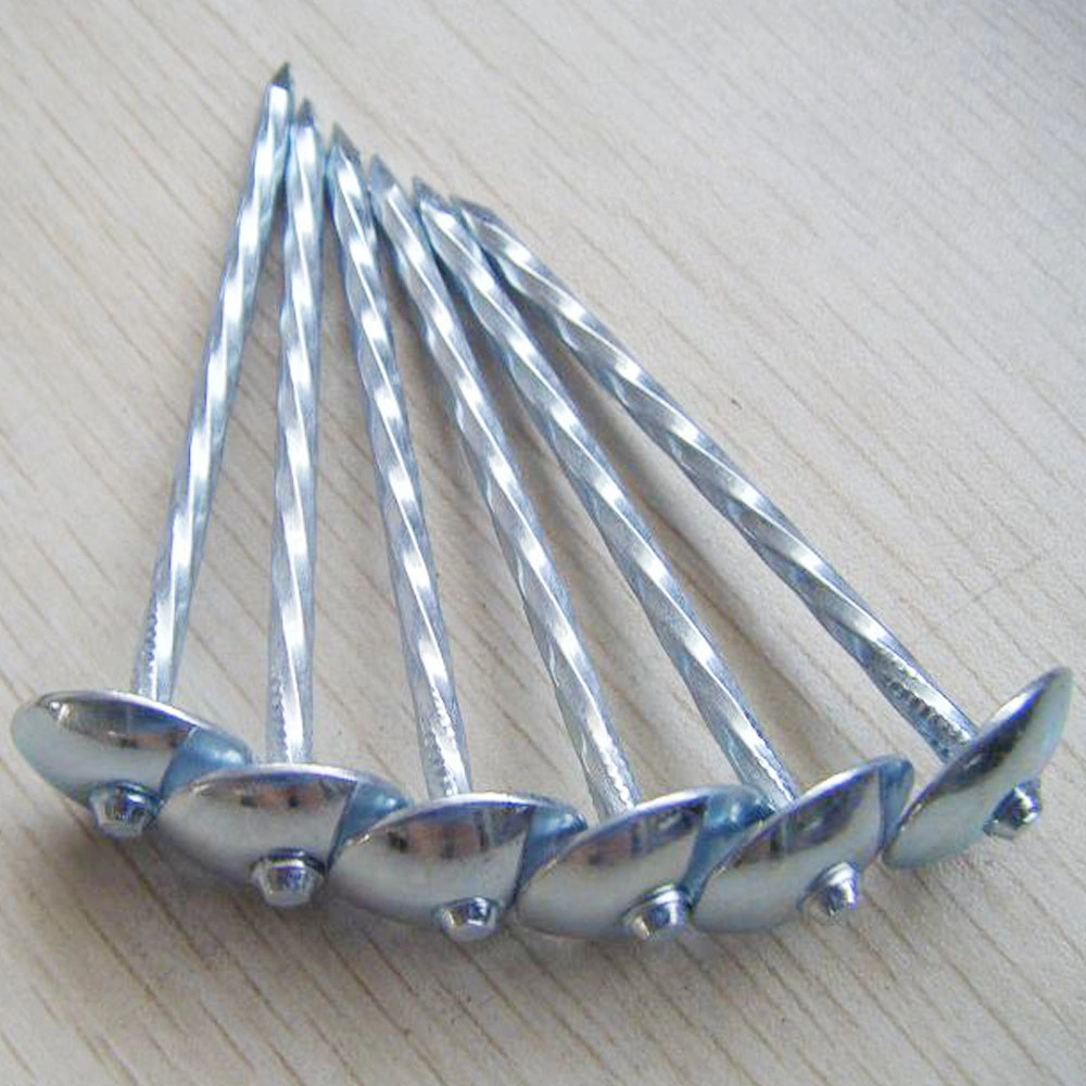 Direcionar a fábrica venda quente Q235/T195 Chapas Galvanizadas chapas nervuradas pregos Twisted /Bom Shank Umbrella Coberturas de cabeça pregos