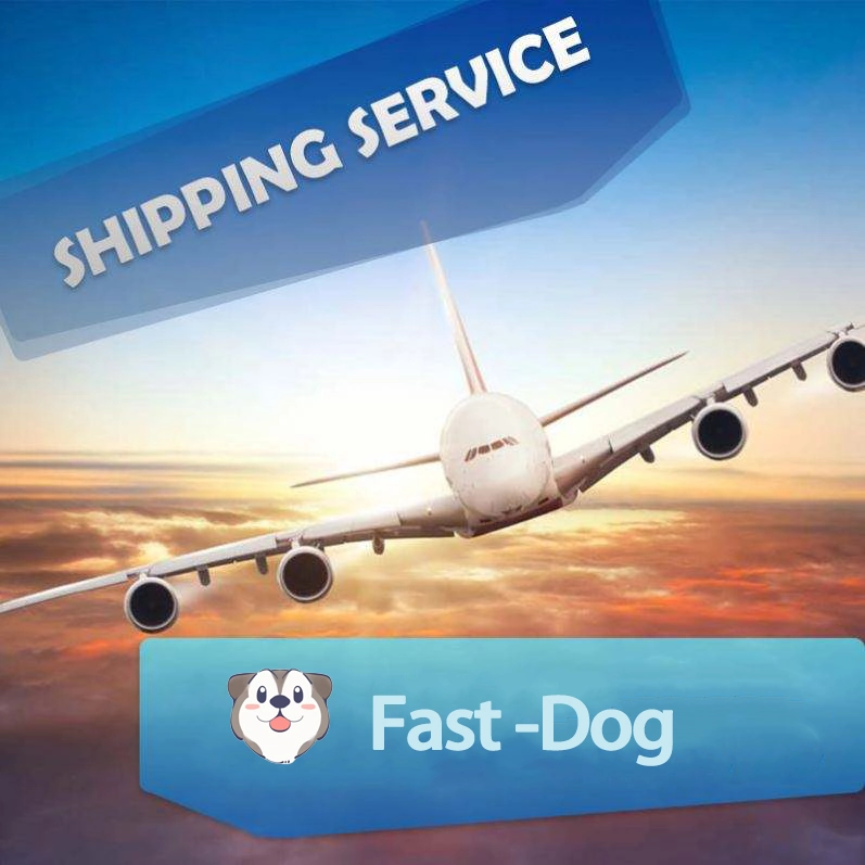 Logística Frete Forwarder para Reino Unido/EUA/Itália/França/Alemanha FBA Amazon by Air Shipping A partir da China DDP Serviço de porta a porta