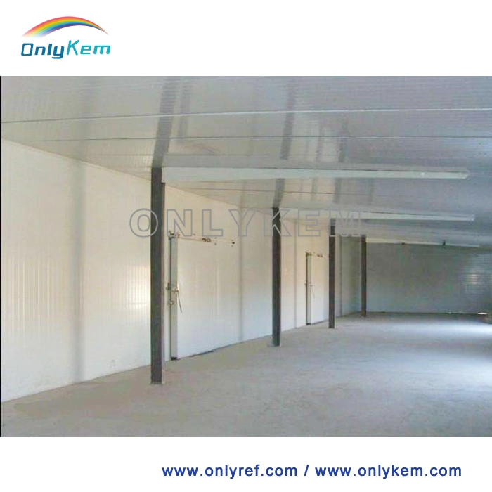 Cold Room/Cold Storage/Cooling Room/Freezer for Frozen/Keep Fresh Products