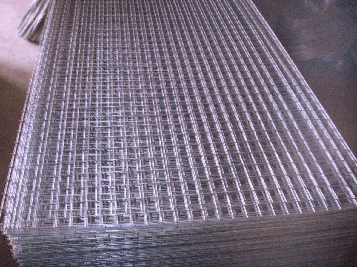 Chicken Farm Building Wire Mesh Panel for Chicken Cage