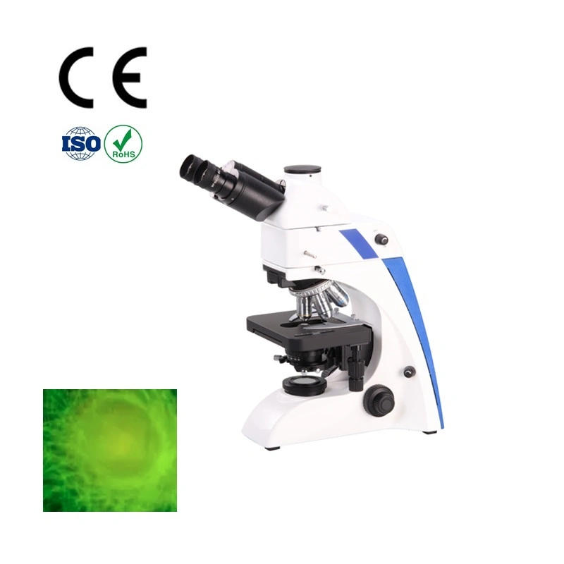 Hilera de trefilado de inspeccionar microscopio binocular Microscopio de fluorescencia de imágenes para microscopios de fibra