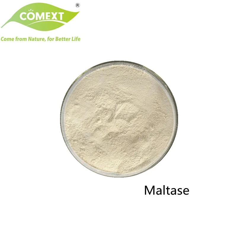 Comext Factory Food Grade Improve Digestion Aspergillus Oryzae 9, 000 U/G Maltase Enzyme