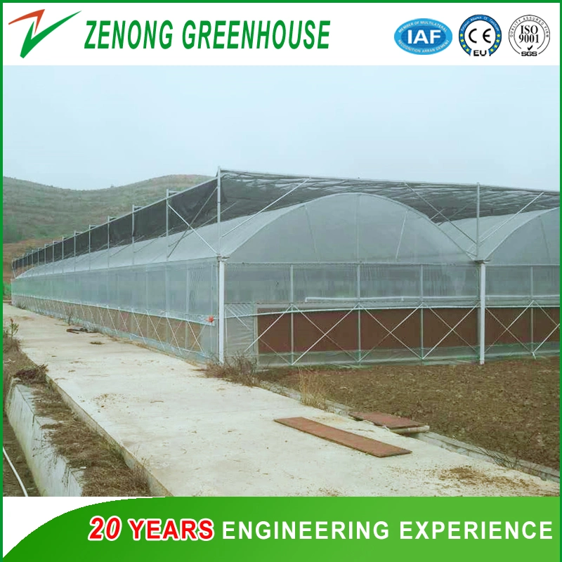 Factory Direct Supply Film Covered Greenhouse with Shading Net Widely Used for Modern Agriculture Planting