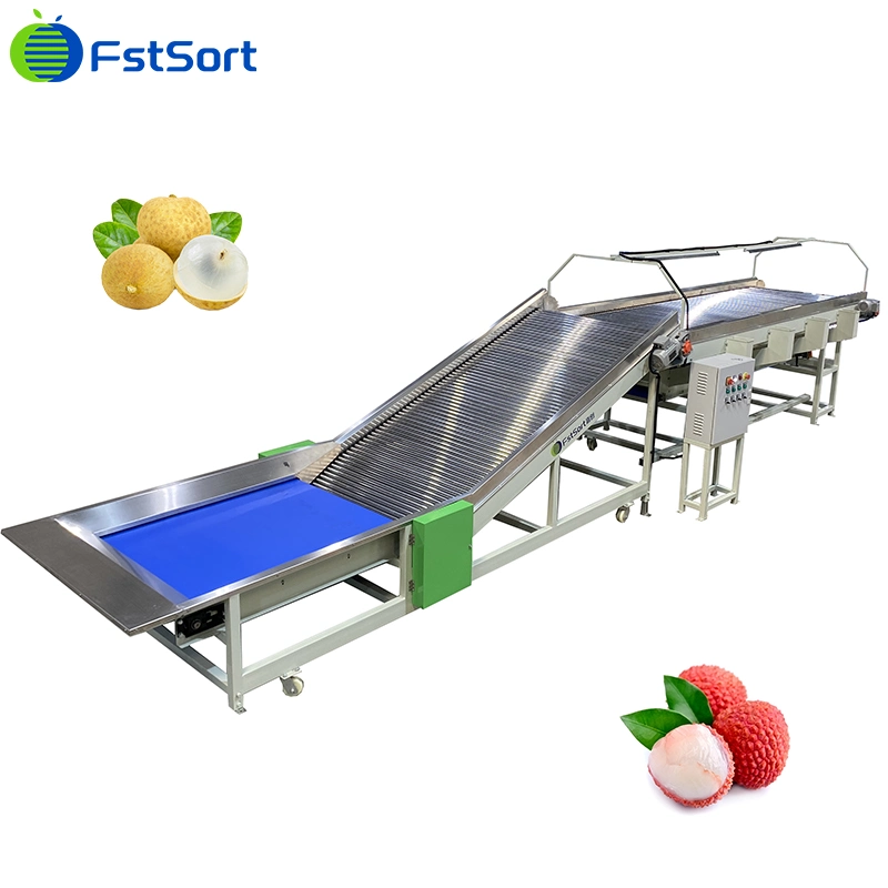 Fstsort Lychee/Longan/Tomato/Passion Fruit/Dates/Apple/Orange/Tangerine Vegetable Inspection Table Fruit Picking Table Fruit and Vegetable Processing Machine