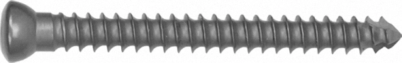 Jinlu Medical Corticaal Screw (self Drilling) Orthopedic Implant Screw