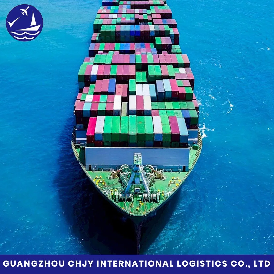 FCL/LCL DDU Transporte Logística Transporte marítimo Forwarder con el Precio más bajo Y el mejor servicio de China a América/Canadá