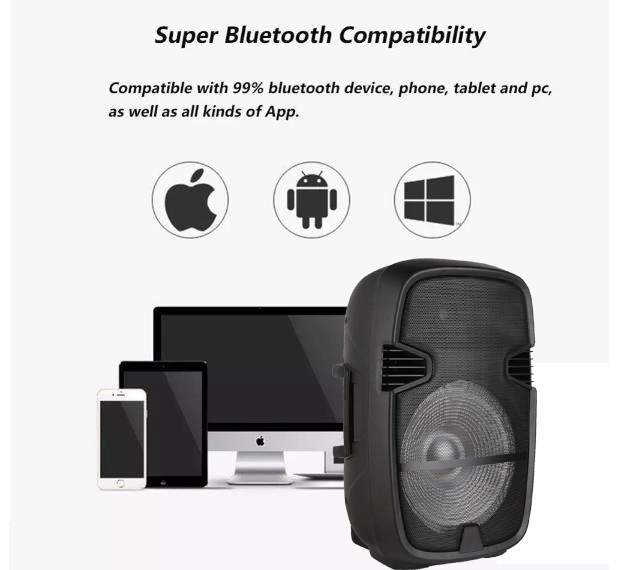 12inch Bluetooth Digital Portable Speaker Sound Box