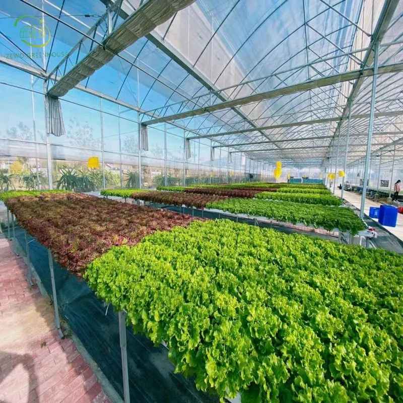 Factory Price High quality/High cost performance  Hydroponics Aquaponics System Vertical Nft Growing System Farm Lettuce