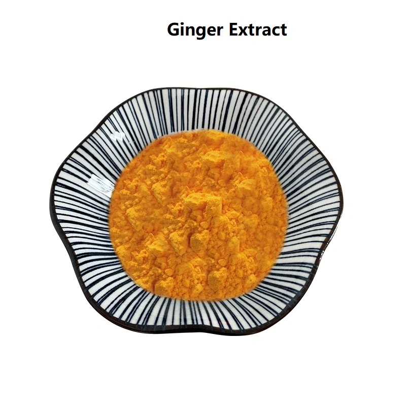 Best Sale Ginger Powder Ground Ginger Extract