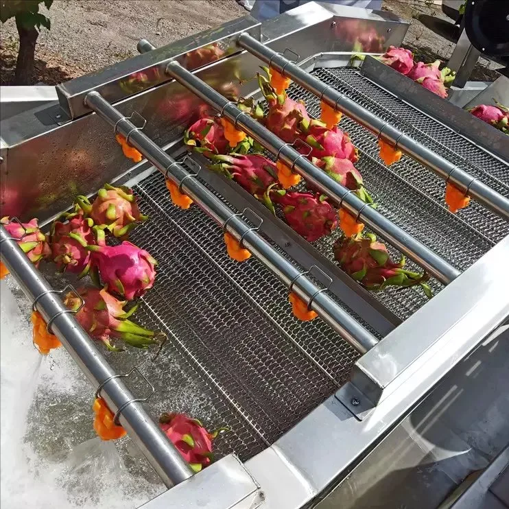 Kefai maquinaria de lavado de frutas y verduras de la máquina de limpieza