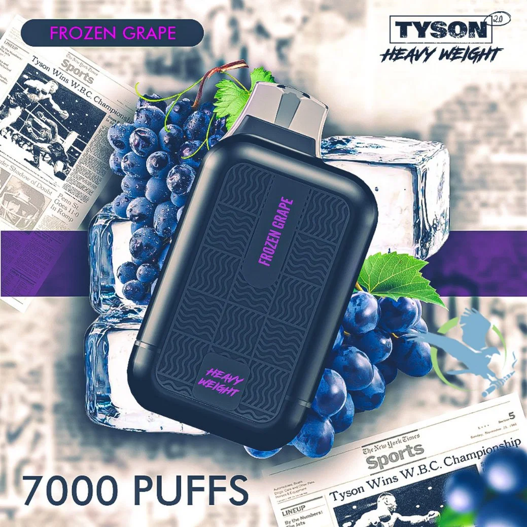 Escolha de vários sabores Tyson 2.0 mais recente preço de fábrica peso pesado 7000 tubos de 15 ml de papel de cassete descartável Atacado I Vape