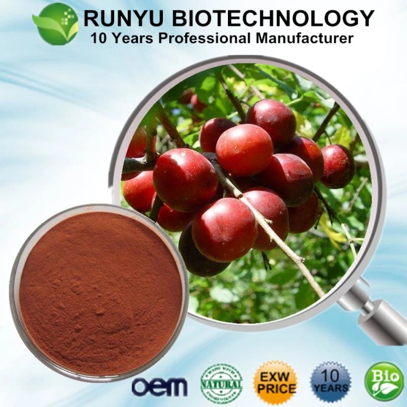 Chinese Wild Jujube Seed Extract Powder 2% Jujubosides Powder Best Price Free Sample