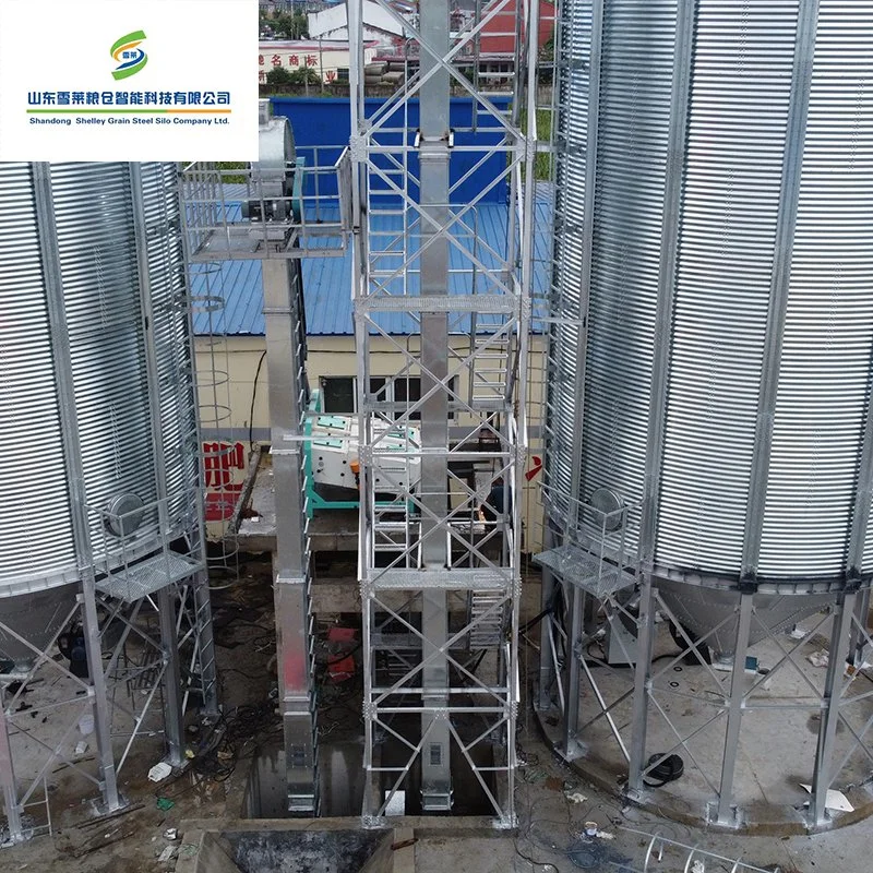 Hopper Cone Bottom Assembly Steel Storage Silo for Grain Wheat Maize Soybeans