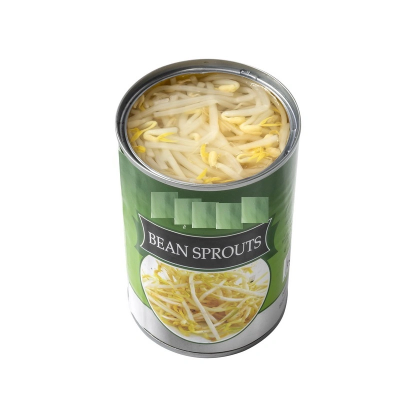 Canned Vegetables Fresh Bean Sprouts with Private label