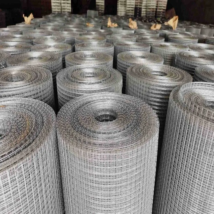 for Bird Cage Welded Wire Mesh Roll Hot Dipped Galvanized Welded Wire Mesh