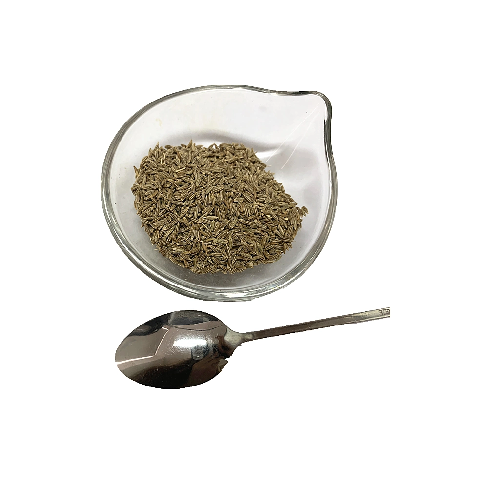 Wholesale/Supplier Premium Quality Cumin Seeds Single Spices