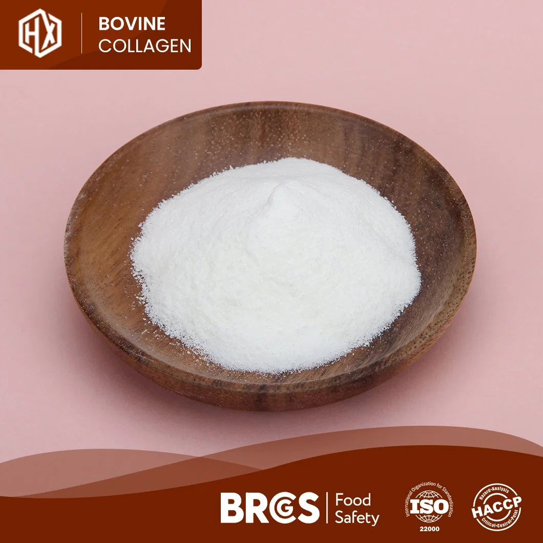 Haoxiang piel bovina de grado alimenticio en polvo de colágeno hidrolizado de colágeno bovino Powder Fabricante China Wholesale/Supplier alimentadas de hierba personalizada en polvo de colágeno bovino