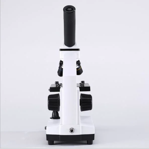 Плечо для управления глазом Нейрохирургия Simul Focal Cover стекло Stereo Zoom ENDO Fiber Optic USB Microscope