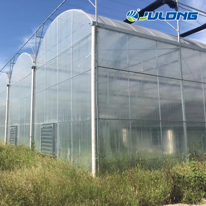 Agricultural Tomato Strawberry Growing Po/PE Plastic Film Greenhouse with Installation