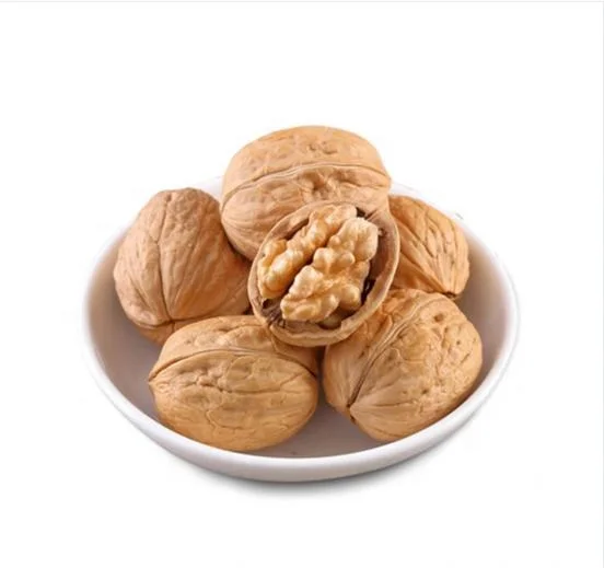 Xinjiang High Yield of 185 Walnut Nut Kernel