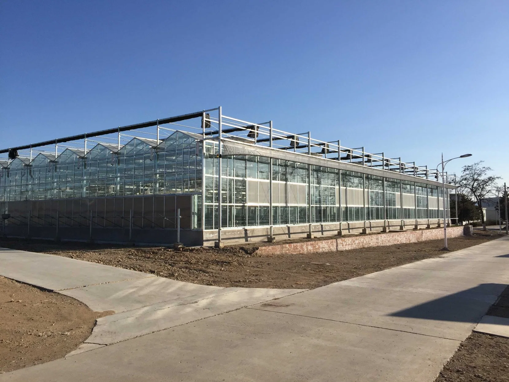 Venlo Glass Greenhouse for Vertical Farming with Top LED Grow Lights