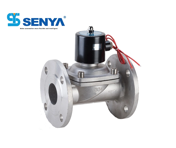 2s Series Direct Acting 2/2 Ways Stainless Steel Solenoid Valve with Flange