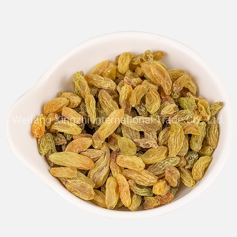 Xinjiang Factory Low Price Top Quality Dried Raisins