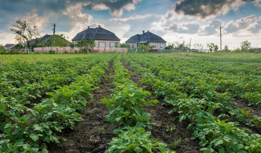 Fabricante de productos químicos agrícolas Haloxyfop-P-bromuro de 10,8% ce herbicida.