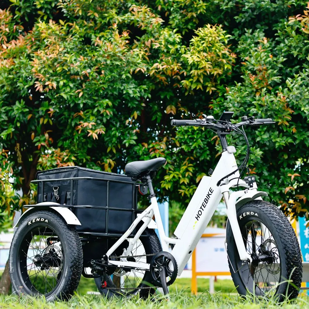 750W 500W Powerful Rear Motor Electric Tricycle 3 Wheels E Trike Cargo Bike Fat Tire Electric Trike