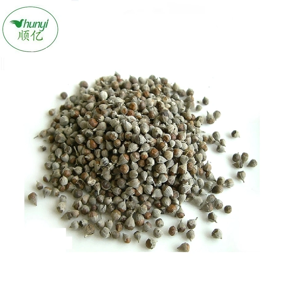 Supply High quality/High cost performance  Chaste Tree Berries Whole