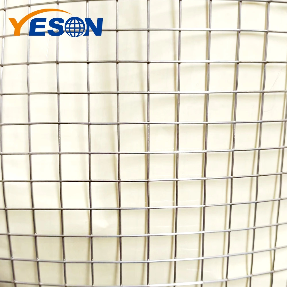 High quality/High cost performance  of Galvanized Wire Mesh Bird Screen for Japan Market