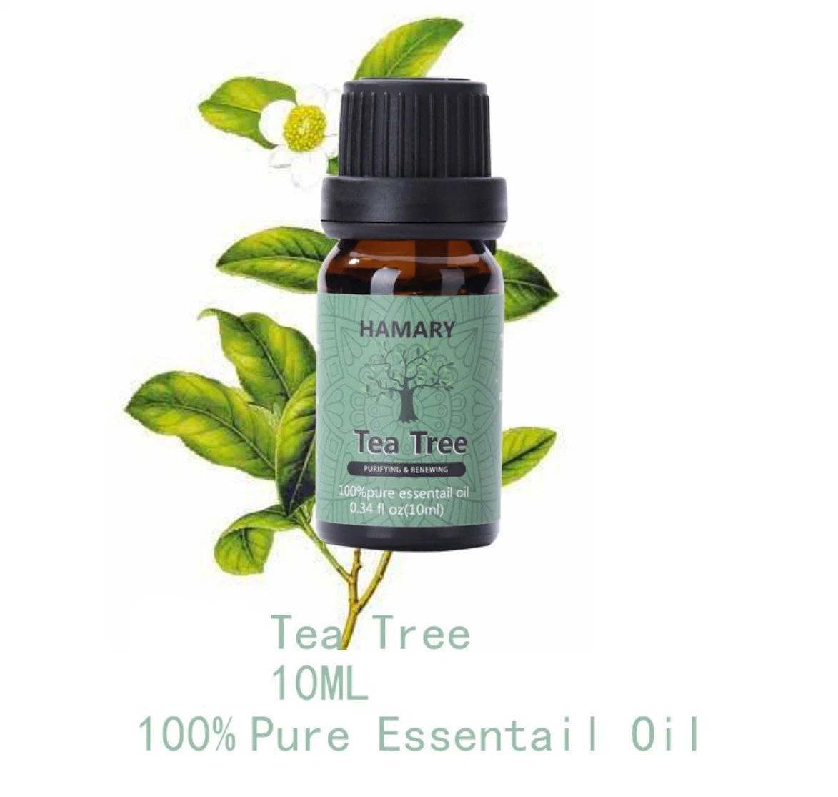 Free Sample Cheap Tea Tree Essential Oil for Face, Hair, Nails Acne, Skin Care