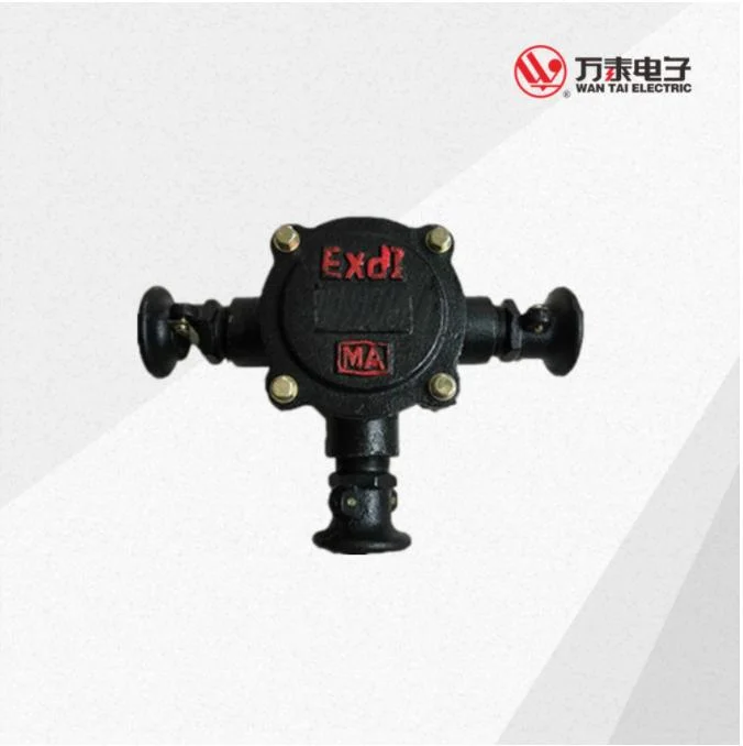 Bhd2 Series Low Voltage Cable Connection Box Explosion-Proof Junction Box