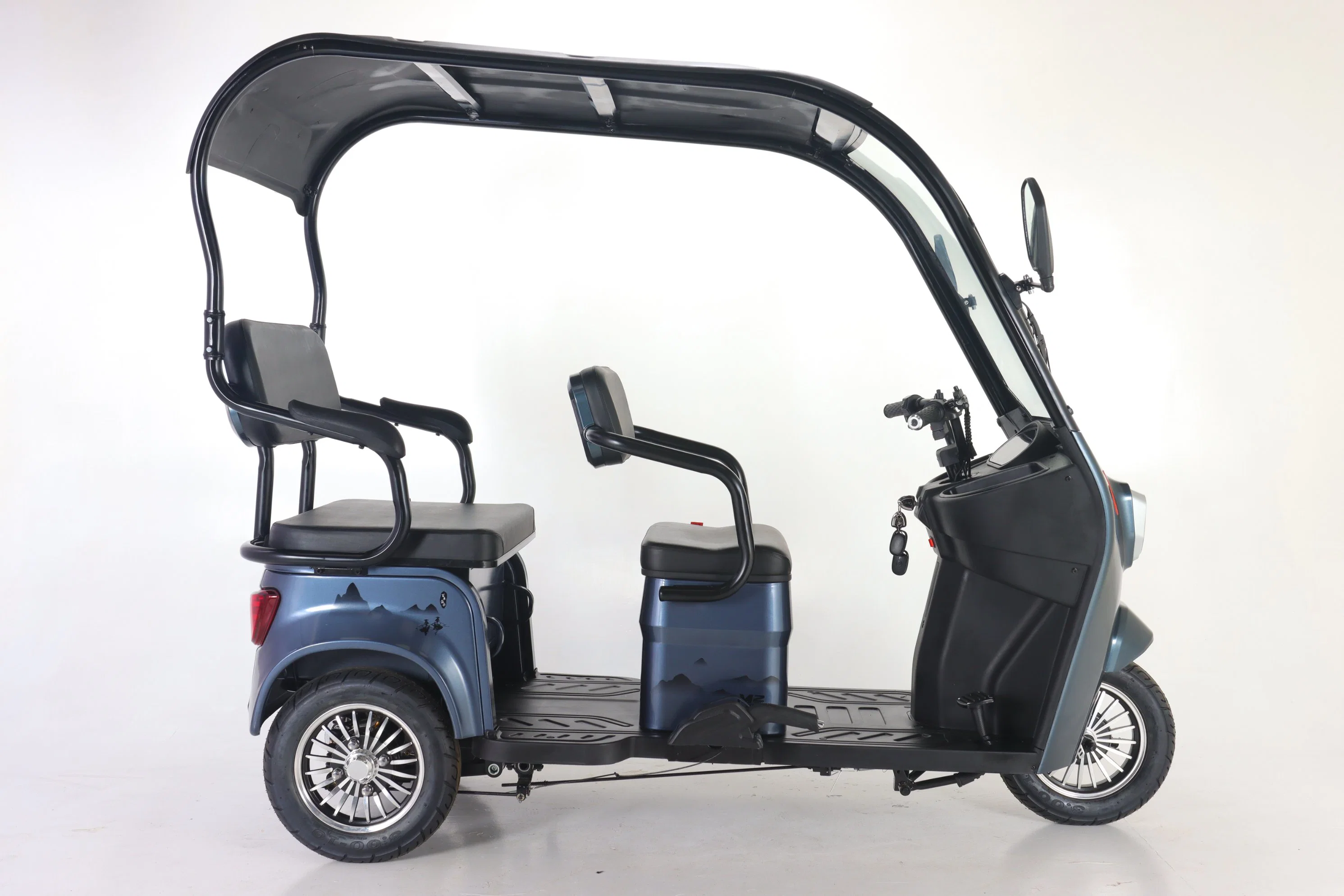 China Sells High-Quality and Cheap Mini Electric Tricycles Bike for Adults