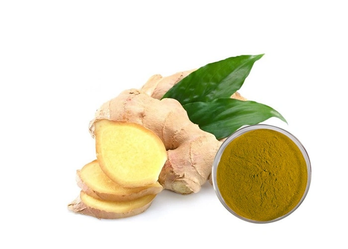 Food and Beverage Wholesale Price 100% Dehydrates Ginger Extract