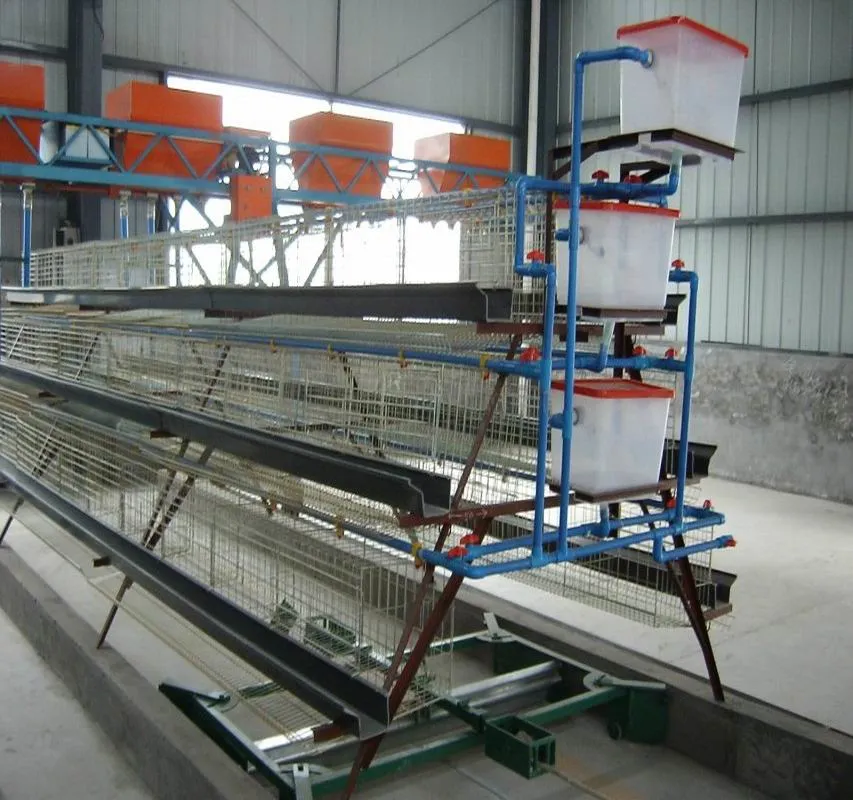 2023 Hot Sale Automatic Poultry Farming Equipment Chicken Layer Battery Cage