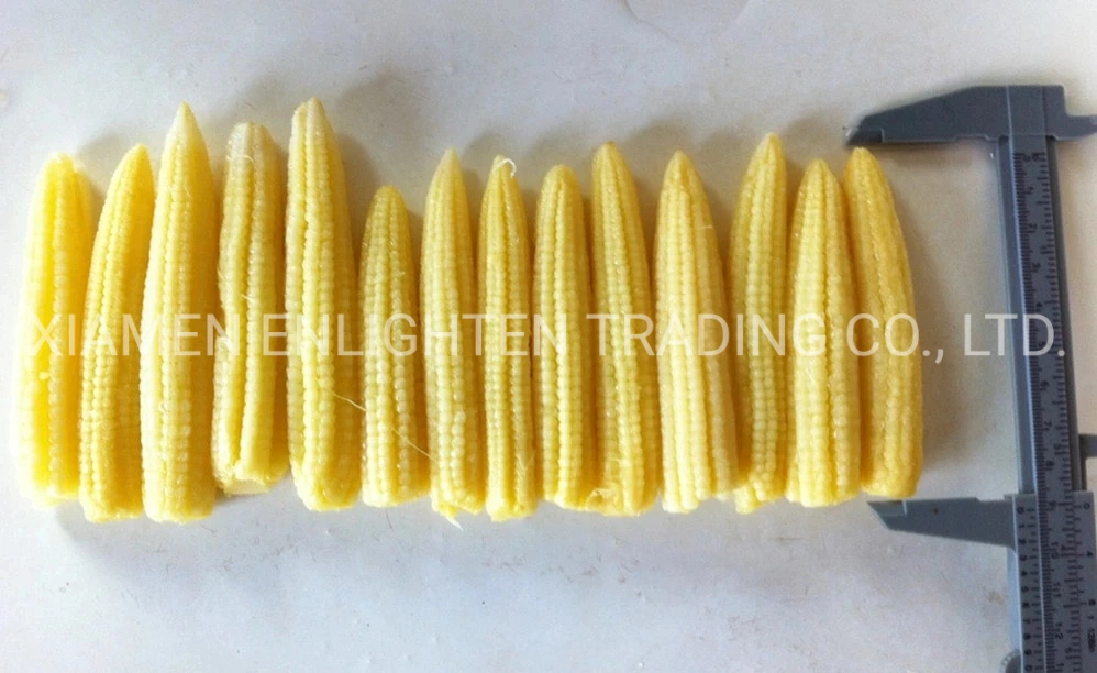 Well Preserved Baby Corn in Glass Jar