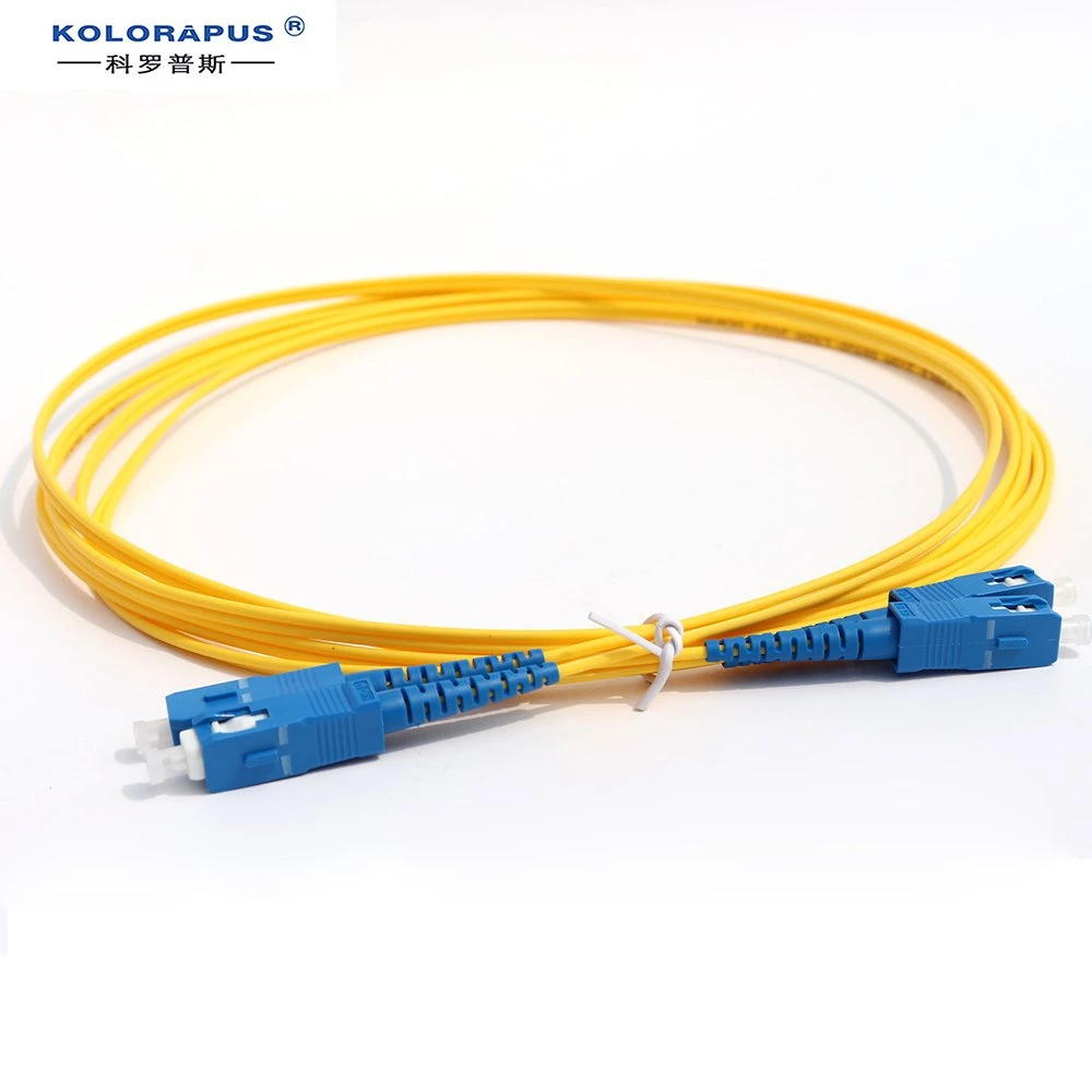 Sc-Sc Single Mode Duplex Fiber Optic Patch Cord Optical Jumper 3m