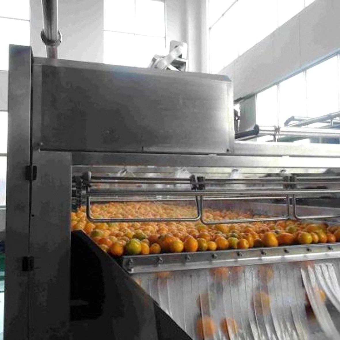 New Design easy to operate vegetable fruit washing machine