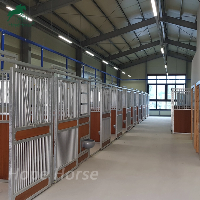 Horse Stall Building Stables for Horses with Feeders and Accessories