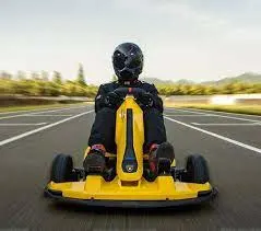 Seg Way Ninebot Gokart PRO High Speed Children Adult 4 Wheels Electric Racing Go Kart for Sale Max Speed 40km/H