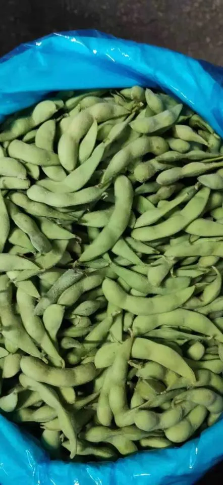 Edamame surgelé de haute qualité, IQF Edamame Pods, a bombardé Edamame de Chine