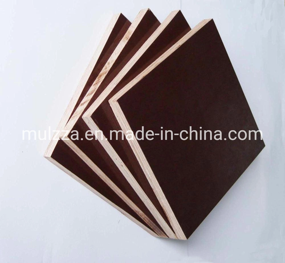 Black/Brown Film Faced Plywood for Construction and Building