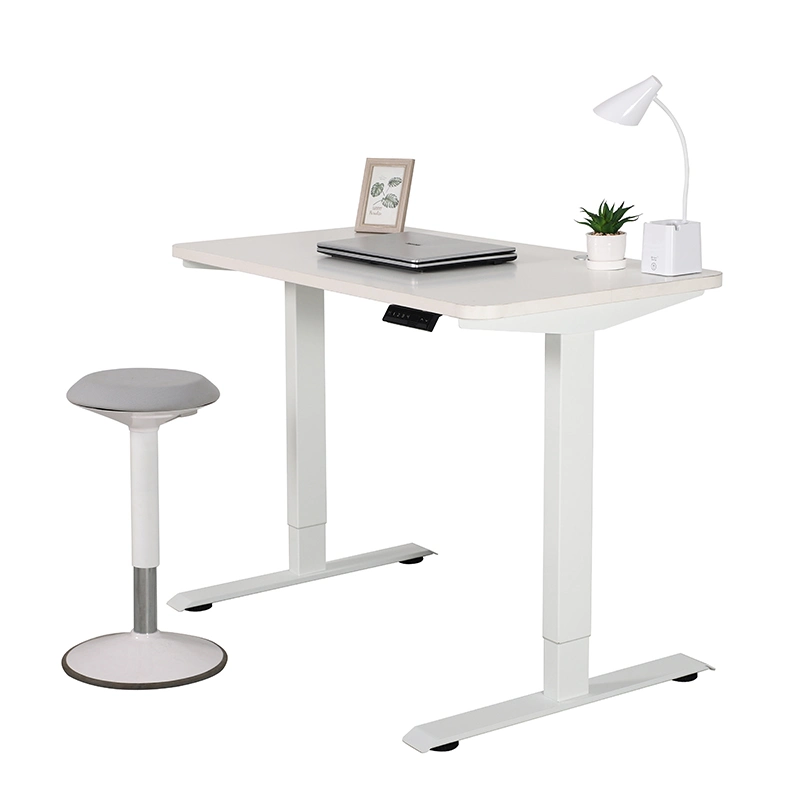 Ergonomic Office Furniture Electric Automatic Dual Motor Sit Stand Adjustable Standing Desk