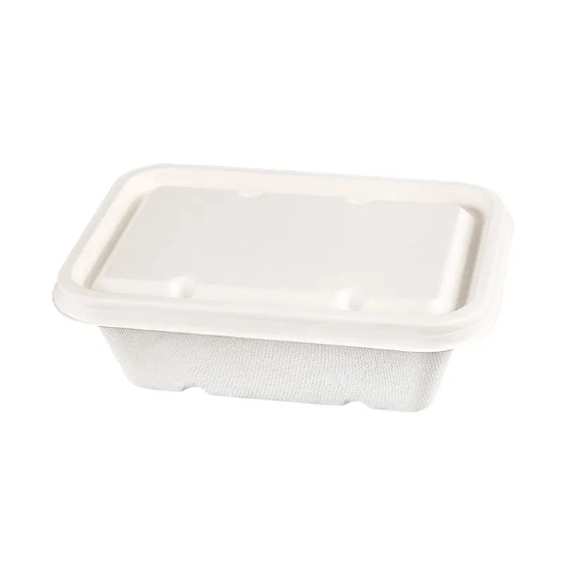 Fluoridfreie Zuckerrohr Bagasse Zellstoffschale mit Papierdeckel