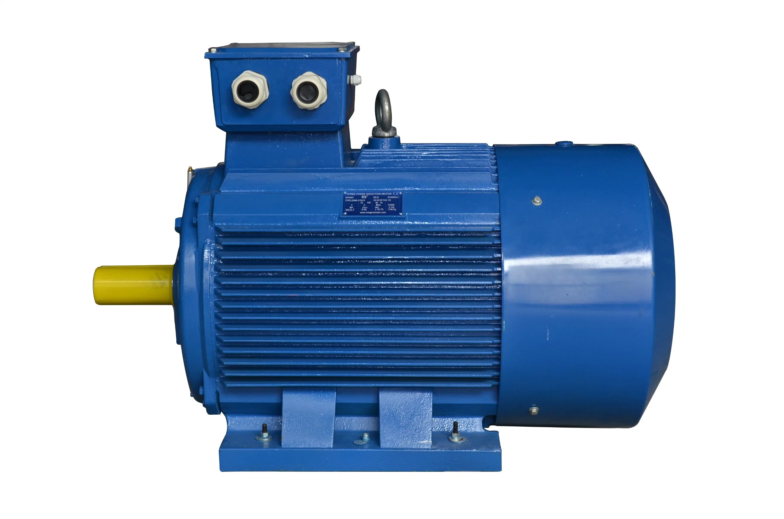 2HMI Series Motor/Ie2 Eff1 High Efficiency Electric Motor Cast Iron