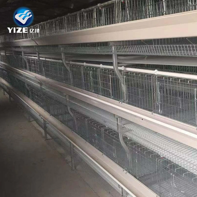 Hot Sale 5 Tier 200 Birds Laying Hens Poultry Farm Chicken Cage